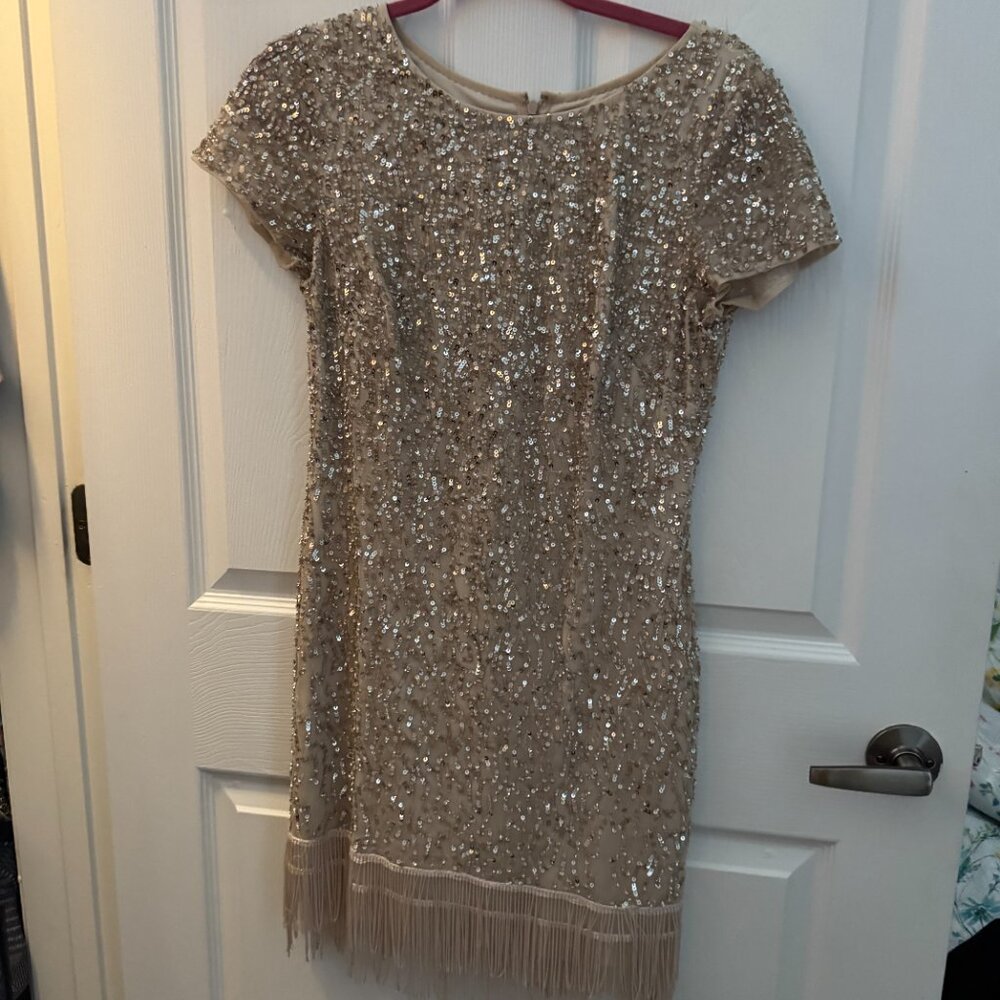 Rose Gold Sequin cocktail Dress with fringe on the bottom - Picture 8 of 9